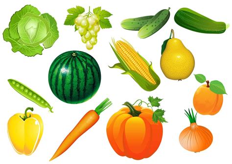 frutas y verduras dibujos